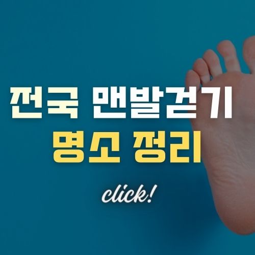 전국의 맨발걷기 명소 추천